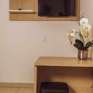 Suite Estándar con Cama King